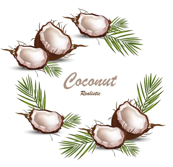 Fresco coco fruta tropical Realista Vector tarjeta ilustraciones — Vector de stock