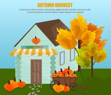 Taze kabak vektör ile çiftlik. Sonbahar arka plan. düz stilleri