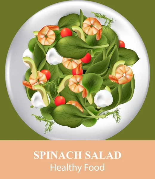 Spinach salad with shrimps. Realistic Vector food — Stock Vector