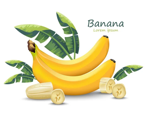 Banana Vector fruta realista isolado no Vector branco —  Vetores de Stock