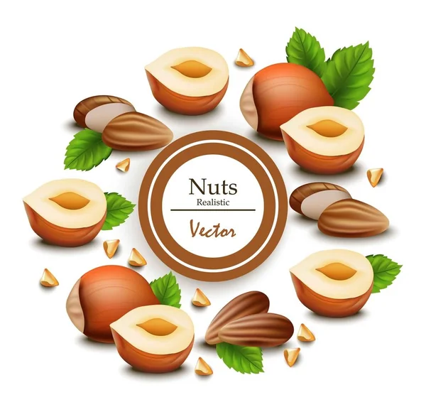 Nuts Vector réaliste. Modèles d'étiquettes — Image vectorielle