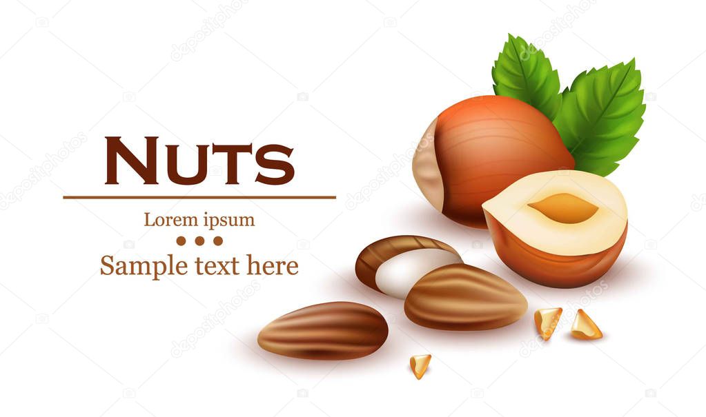 Nuts Realistic Vector. Template label design illustrations