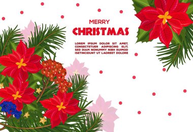 Kırmızı Atatürk çiçeği çiçek Noel kartı vektör. Retro Festival arka planlar