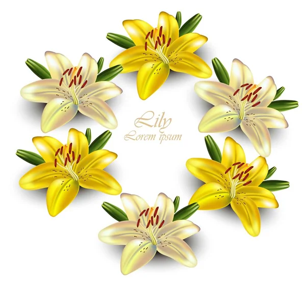 Corona de lirio amarillo Vector. Delicada ilustración de tarjetas florales — Archivo Imágenes Vectoriales