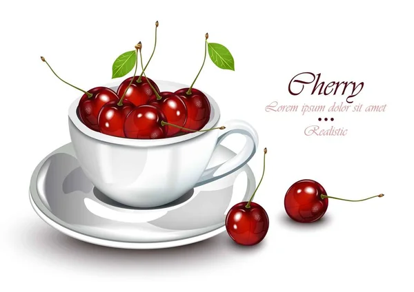 Cherry fruits in a cup realistic Vector fruits. Sweet detailed illustrations — Stock Vector
