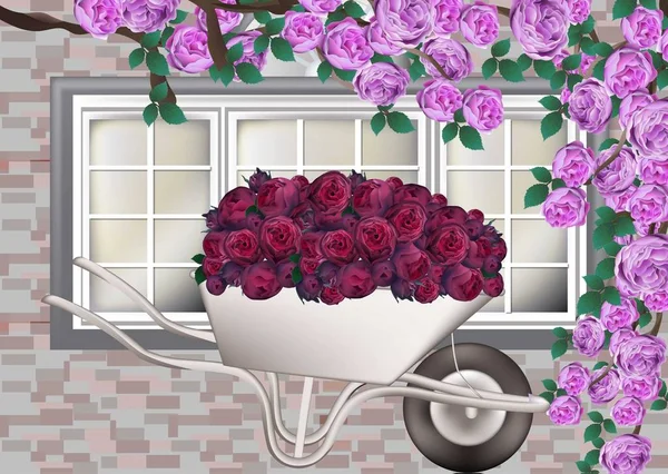 Belas rosas provence estilo fundo Vector realistics —  Vetores de Stock