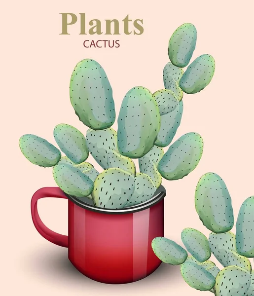 Cactus Plant growing in red pots Vector backgrounds — Stock Vector