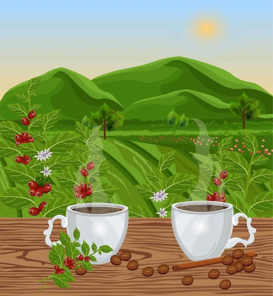 Dos tazas de café con vista al paisaje Vector. Campos verdes de granos de café cosechas — Archivo Imágenes Vectoriales