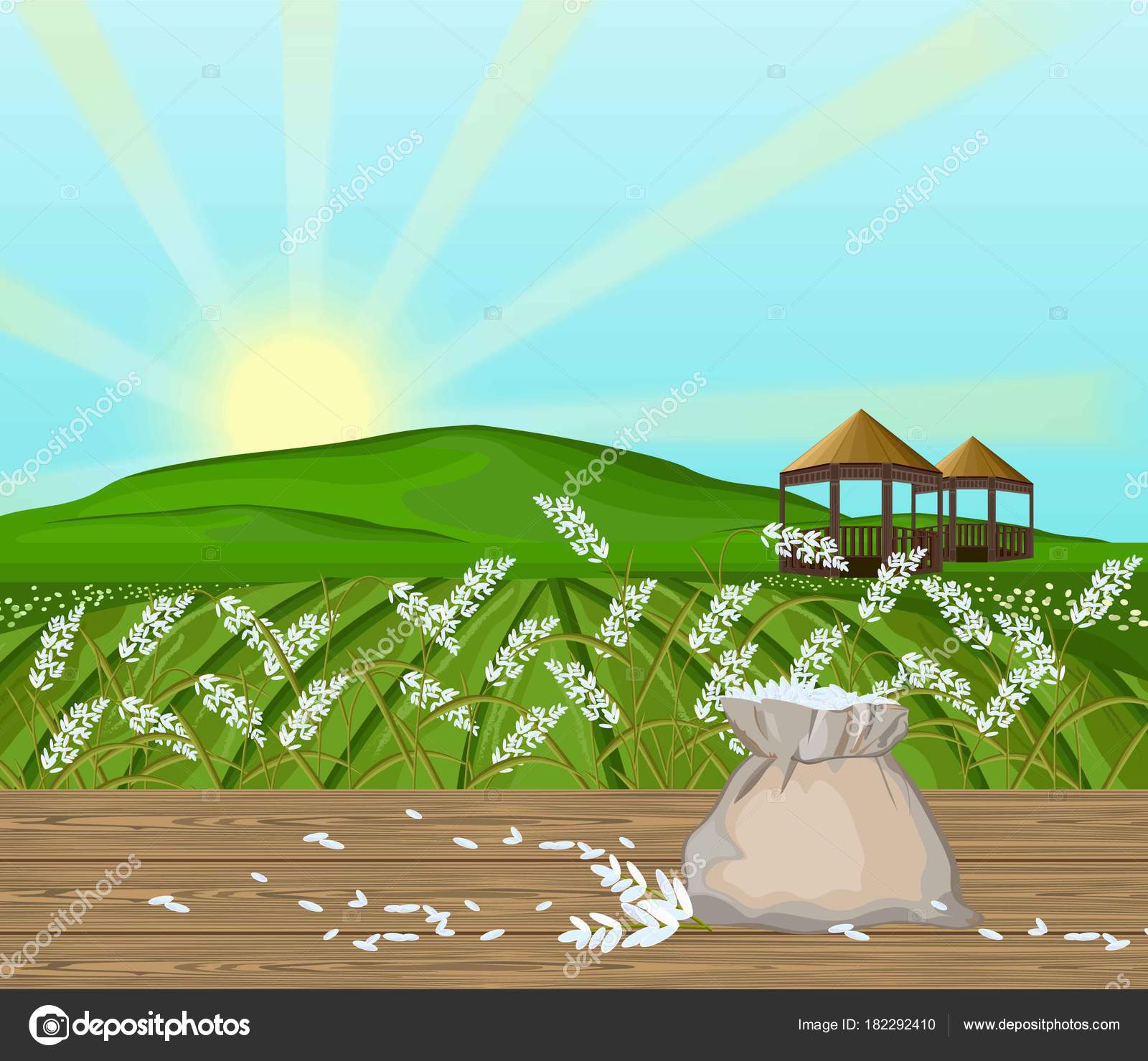 Rice fields landscape Vector. Sunshine background Stock Vector Image by  © #182292410