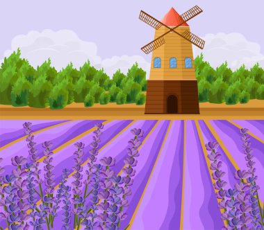 Değirmen ve lavanta alanlar vektör arka plan. Vintage il düz stil şablonları