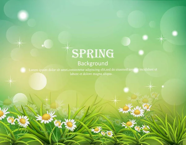 Hallo Frühling Hintergrund mit Kamillenblüten Vektor — Stockvektor