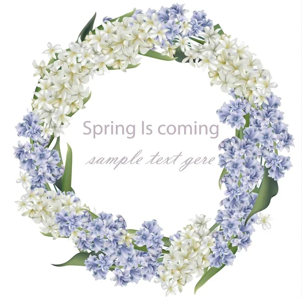 Hyacinth flower wreath bouquet Vector. Spring Realistic card — Stock Vector