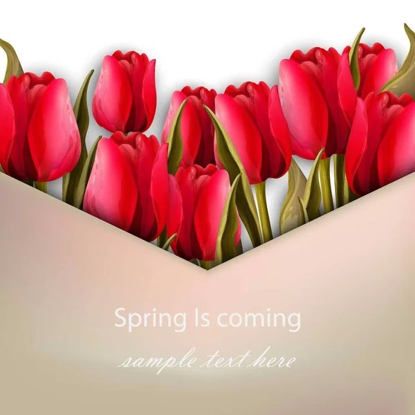Rosas vermelhas flor saudação. Primavera está chegando cartão Vector —  Vetores de Stock