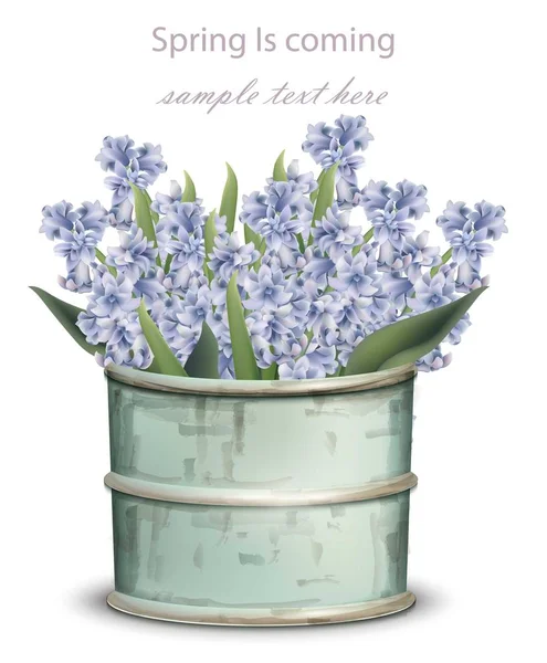 Jacinto ramo de flores azul Vector. Primavera viene ilustraciones de tarjetas — Vector de stock