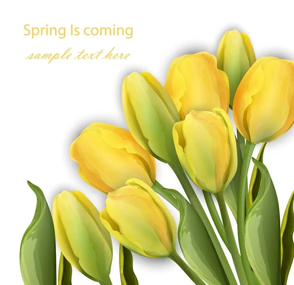 Gelbe Tulpenblüten auf weißem Hintergrund Vektor realistische Illustrationen — Stockvektor