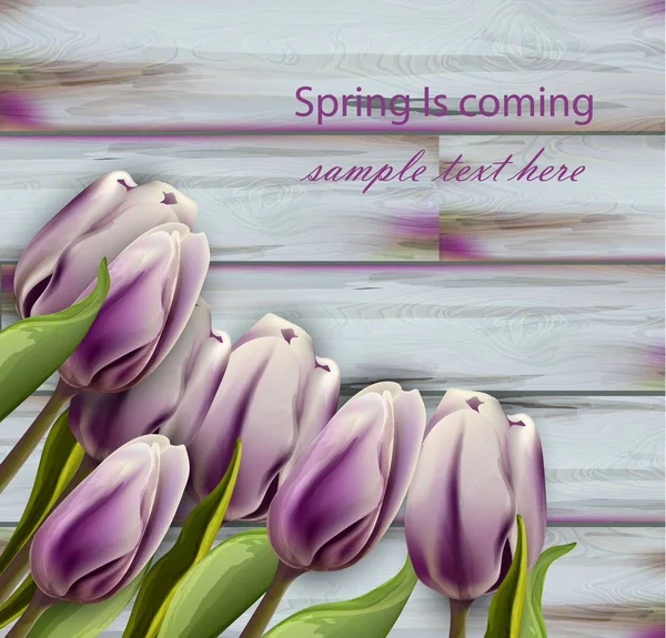 Tulpenblumen Vektor realistischen Holzhintergrund. Frühjahrskarten — Stockvektor