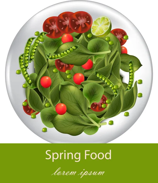 Spring salad with spinach Vector realistic plates — Stock Vector