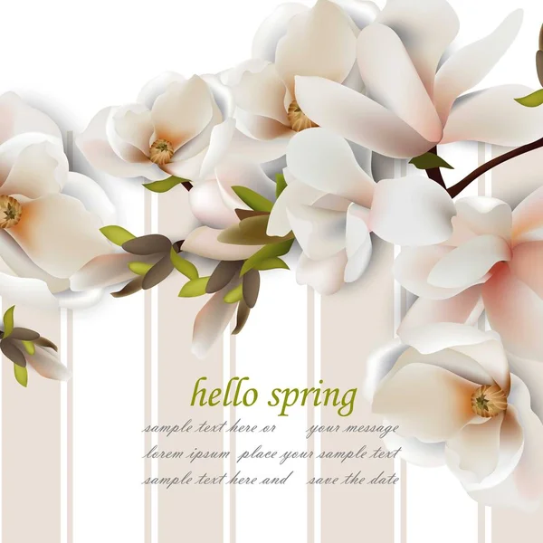 Hallo Frühlingskarte mit Magnolienblüten. Vektor realistische Hintergründe — Stockvektor