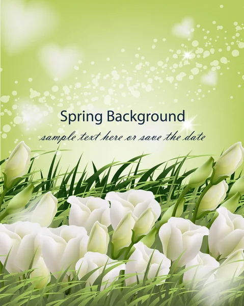 Flores da primavera e grama verde Fundo vetorial. Ilustrações realistas — Vetor de Stock