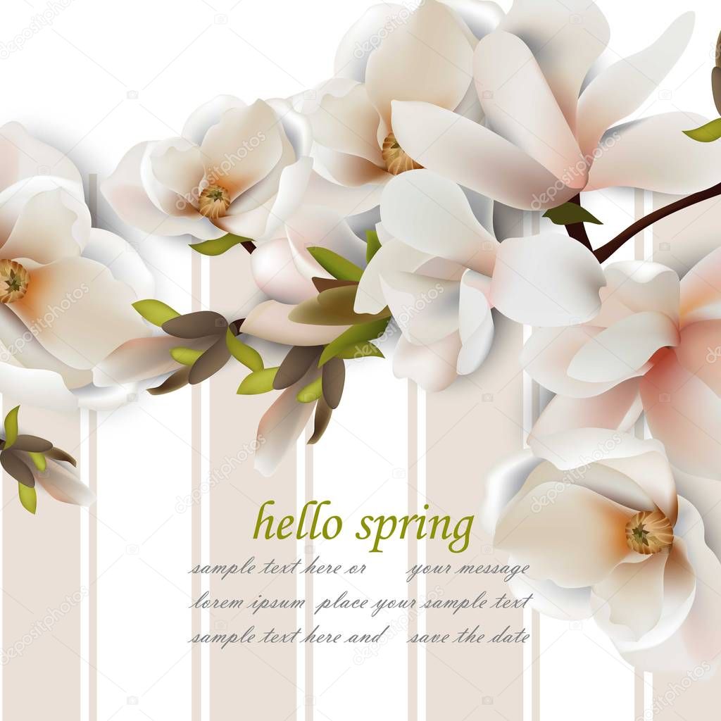 Hello spring card with magnolia flowers. Vintage Vector realistic backgrounds