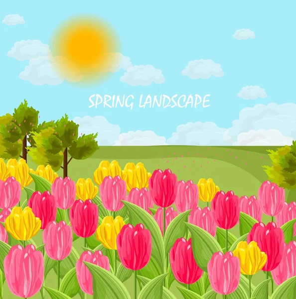 Campo de flores de tulipa Vector. dia de sol céu azul — Vetor de Stock