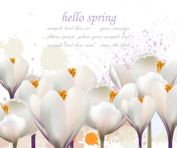 Hola primavera flores blancas tarjeta Vector. Salpicadura de acuarela Un saludo encantador. Delicados fondos de ilustración de boda — Vector de stock