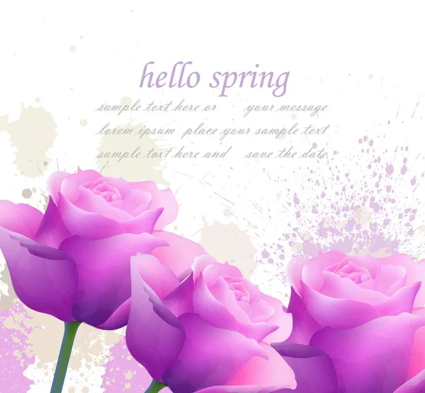Hola primavera rosas violetas y salpicadura Vector. Plantillas románticas de tarjetas de felicitación pasional — Archivo Imágenes Vectoriales
