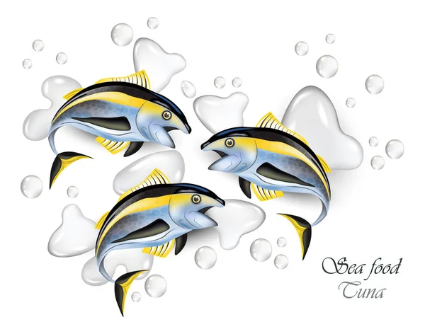Peixe de atum fresco Vector realista. Fundo respingo de água —  Vetores de Stock