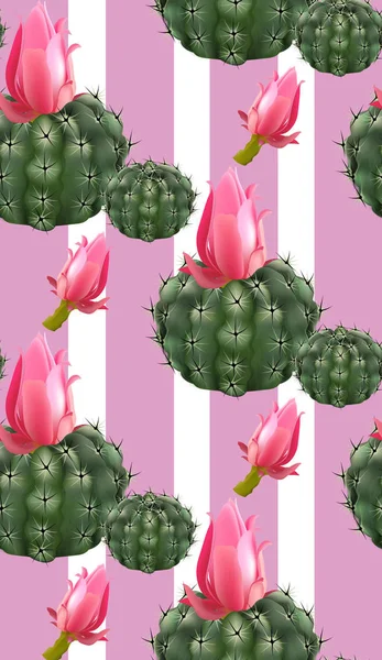 Cactus rosa fondo abstracto Vector — Archivo Imágenes Vectoriales