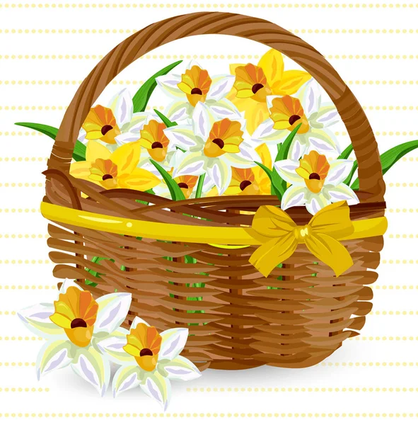 Narcissus flowers in a basket Vector. Floral bouquet decors — Stock Vector