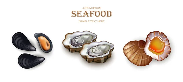Musslor, ostron och pilgrimsmussla skaldjur vektor. Realistisk detaljerade 3d illustration ställa samlingar — Stock vektor