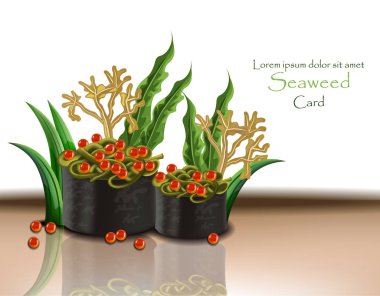 Deniz yosunu ve havyar. Vektör gerçekçi 3d çizim. Japon mutfakları, suşi nori