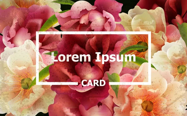カラフルな牡丹の花ベクトルとヴィンテージのカード。テンプレート レイアウト カード — ストックベクタ