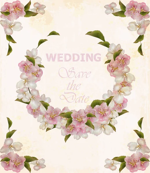 Cadre de couronne de mariage avec fleurs de cerisier. Cartes postales vectorielles délicates — Image vectorielle