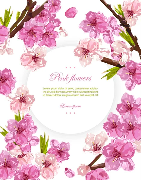 Flores de cerezo Vector. Fondos de tarjetas de primavera — Vector de stock