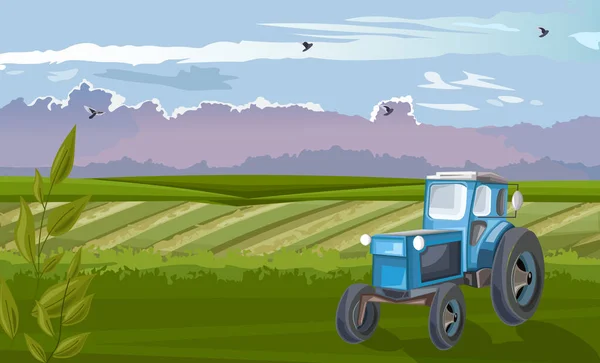 Blue tractor in the green field at daylight — Stock Vector