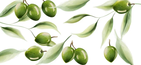 Olives vertes avec feuilles et lumière réfléchissant sur la structure — Image vectorielle