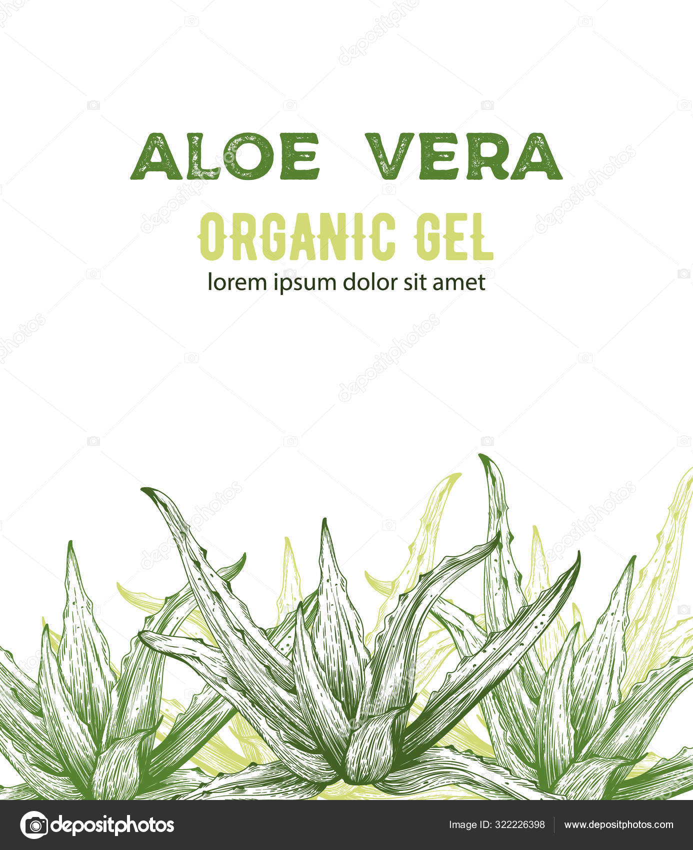 Aloe Vera gel with line style drawings Vector Image by ©inagraur.ymail.com #322226398