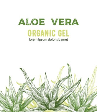Çizgi çizimleri olan Aloe Vera organik jel