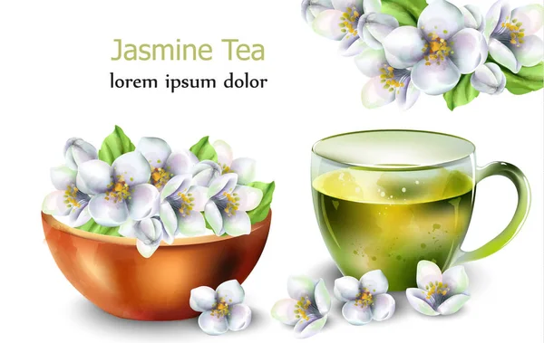 Τσάι γιασεμί με λουλούδια — Διανυσματικό Αρχείο