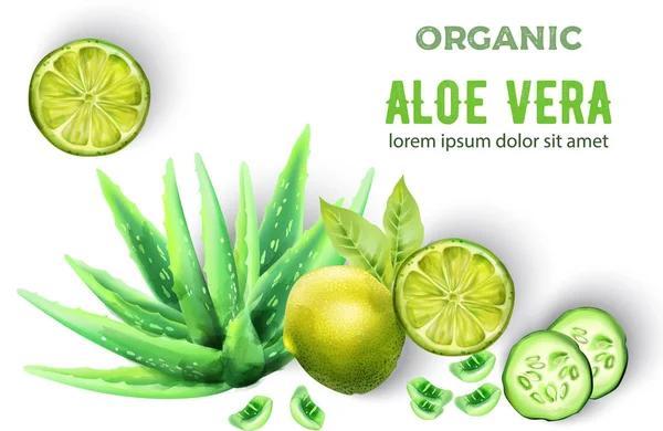 Productos ecológicos de Aloe Vera — Vector de stock