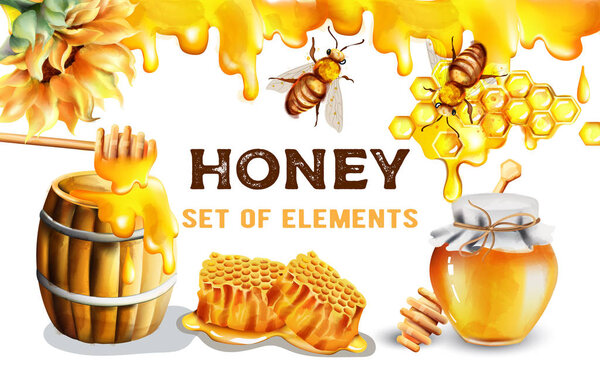 Set of watercolor honey elements