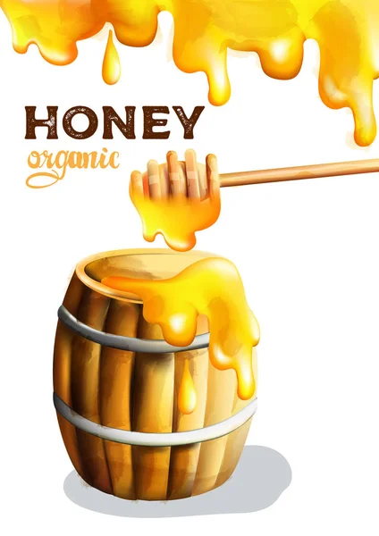 디퍼에서 떨어지는 유기 꿀 — 스톡 벡터