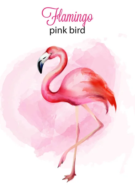 Watercolor flamingo pink bird portrait — Stock Vector