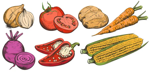 Colorida composición de arte de línea con verduras bio — Vector de stock
