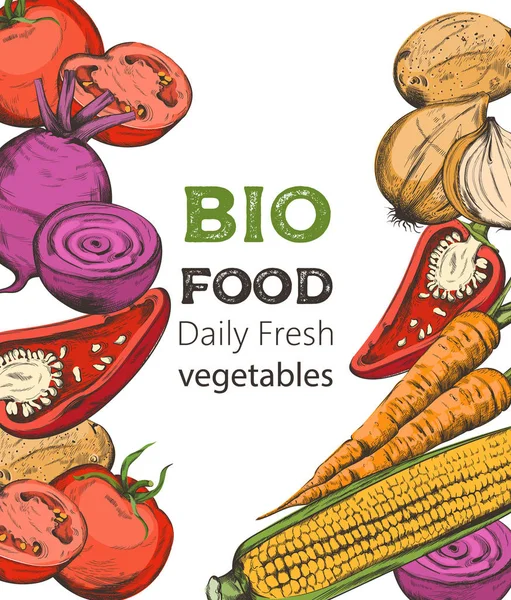 Colorida composición de arte de línea con verduras bio — Vector de stock