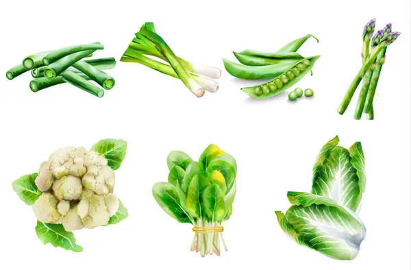 Aquarela verduras saudáveis verdes. Espargos, feijões, cebola, espinafre, repolho, pimenta, couve-flor. Lugar para textos — Vetor de Stock