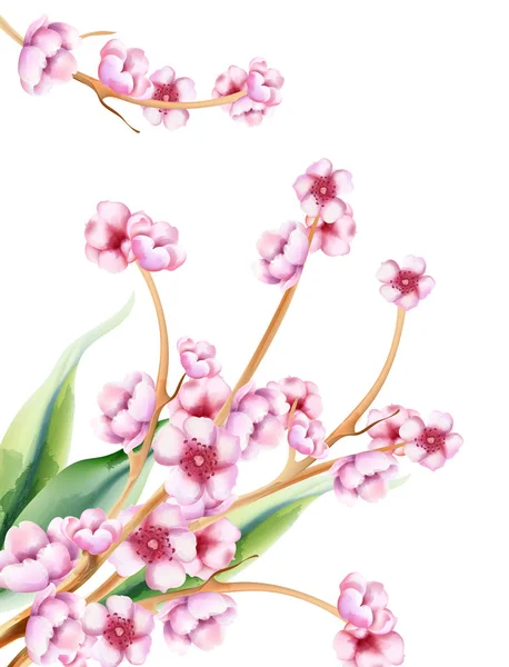 Pink spring watercolor blossom flowers with green leaves — Stok Vektör