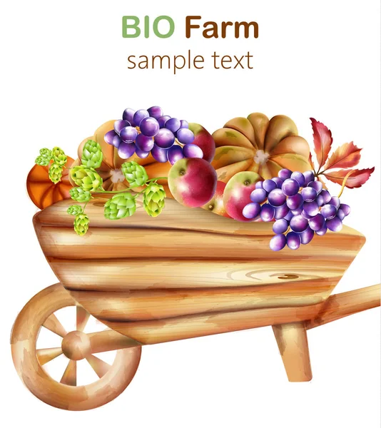 Composizione bio fattoria con carriola in legno ripiena di carciofo, zucche, mela, uva e foglie — Vettoriale Stock