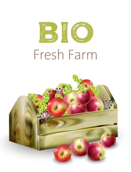 Bio färsk gård trälåda full av äpplen, kronärtskockor och bär — Stock vektor
